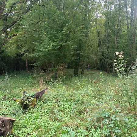 Balneo En Bord De Foret *