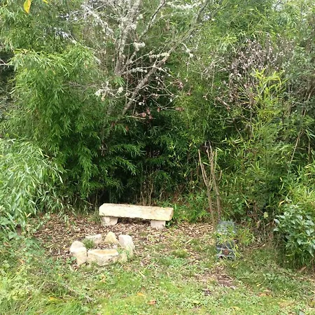 Balneo En Bord De Foret *